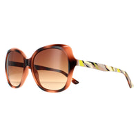 Ted Baker Sunglasses TB1645 Kim 122 Havana Brown