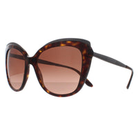 Dolce & Gabbana Sunglasses DG4332 502/13 Havana Brown Gradient