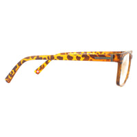 Montana Reading Glasses BLF73-A Matte Turtle Brown Blue Light Block +3.00