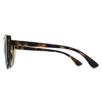 Armani Exchange Sunglasses AX4111SU 821387 Tortoise Grey