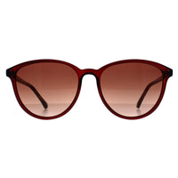 Ted Baker Sunglasses TB1442 Tierney 200 Burgundy Brown Gradient