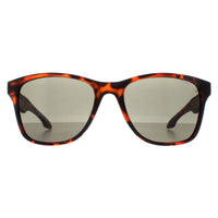 O'Neill Sunglasses Shore 102 Matte Tortoise Grey