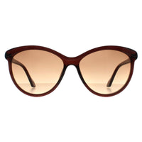 Calvin Klein Sunglasses CK19534S 210 Crystal Brown Brown Gradient