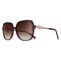 Karen Millen Sunglasses KM5065 237 Dark Red Horn Brown Gradient