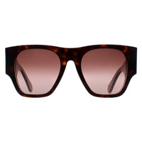 Chloe Sunglasses CH0233S 002 Dark Havana Brown Gradient