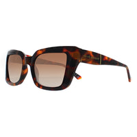 Prive Revaux Sunglasses Buena Vista 2.0 WR9 LA Tortoise Brown Gradient