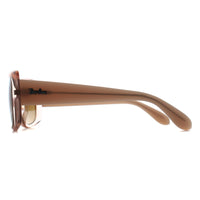 Ray-Ban Sunglasses RB4389 6644M2 Transparent Brown Brown Gradient Polarized