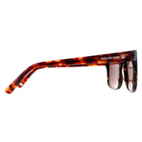 Duck and Cover Sunglasses DCS025 C2 Havana Brown