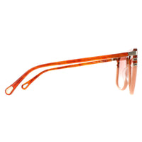 Chloe Sunglasses CH0104S 006 Shiny Blonde Havana Orange Gradient