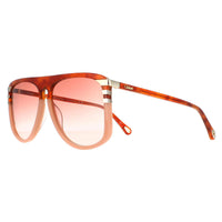 Chloe Sunglasses CH0104S 006 Shiny Blonde Havana Orange Gradient