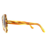 Celine Sunglasses CL40064I 56F Havana Brown Gradient