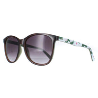 Ted Baker Sunglasses TB1496 Alva 112 Tortoiseshell Grey Gradient
