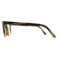 Celine Glasses Frames CL50030I 056 Green Havana Men