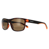 Polaroid Sunglasses PLD 2121/S L9G SP Havana Orange Bronze Polarized