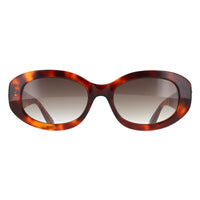 Ted Baker Sunglasses TB1758 Daisie 100 Gloss Classic Tortoise Brown Gradient