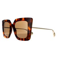 Gucci Sunglasses GG0435S 003 Havana and Gold Brown