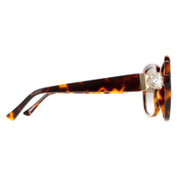 Jimmy Choo Sunglasses SADIE/S 086 HA Havana Brown Gradient