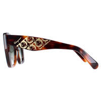 Salvatore Ferragamo Sunglasses SF1023S 214 Tortoise Grey Gradient