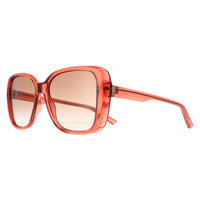 Ted Baker Sunglasses TB1640 Margo 220 Rose Brown Gradient