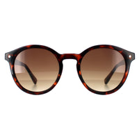 Ted Baker Sunglasses TB1677 Fleur 149 Double Champagne Demi Brown Gradient