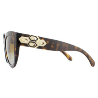 Bvlgari Sunglasses BV8214B 504/T5 Dark Havana Brown Gradient Polarized