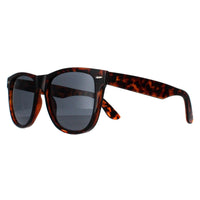 Smarty Sunglasses SB2304 B Tortoise Brown Grey
