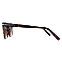 Salvatore Ferragamo Sunglasses SF992S 219 Havana Grey