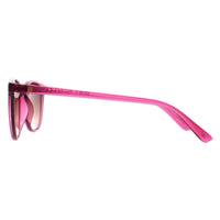Smarty Sunglasses X2132 C Transparent Cassis Pink Brown