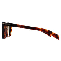 David Beckham Sunglasses DB7000/S XWY 9K Black Havana Brown Gradient