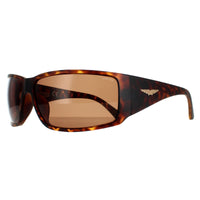 Police Sunglasses SPLB46 Origins 40 0738 Havana Brown