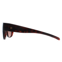 Smarty Sunglasses SA220 0A Brown Tortoise Brown