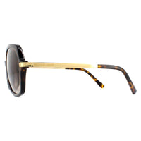 Michael Kors Sunglasses Adrianna II 2024 310613 Dark Tortoise Gold Brown Gradient