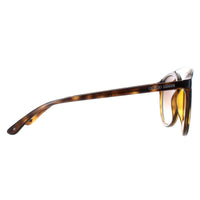 Giorgio Armani Sunglasses AR8083 502613 Dark Havana Brown Gradient