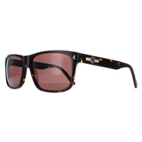 Duck and Cover Sunglasses DCS026 C2 Havana Brown