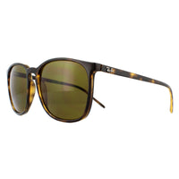 Ray-Ban Sunglasses RB4387 710/73 Tortoiseshell Brown