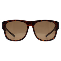 Polaroid Sunglasses PLD 9010/S Fitover N9P SP Matte Havana Bronze Polarized