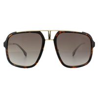 Carrera Sunglasses 1004/S 2IK HA Havana Gold Brown Gradient
