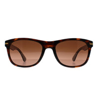 Serengeti Sunglasses Anteo 8671 Shiny Dark Tortoise Drivers Gradient Polarized Photochromic