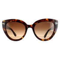 Tom Ford Sunglasses Izzi FT0845 52F Dark Havana Brown Gradient