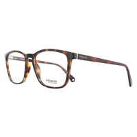 Polaroid Glasses Frames PLD D373 086 Dark Havana
