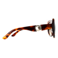 Salvatore Ferragamo Sunglasses SF727S 214 Tortoise Brown Gradient