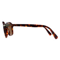 Persol Sunglasses PO3244S 24/33 Havana Brown