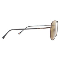 Montana Sunglasses MP95 B Bronze Brown Flex Brown Polarized