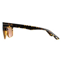 Tom Ford Sunglasses Stephenson FT0775 56E Havana Brown