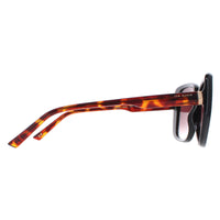 Ted Baker Sunglasses TB1640 Margo 001 Black and Tortoise Brown Gradient