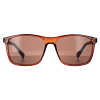 Calvin Klein Sunglasses CK19568S 210 Crystal Brown Brown