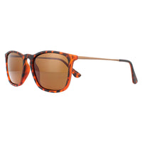 Montana Sunglasses MP34 C Brown Turtle Rubbertouch Brown Polarized