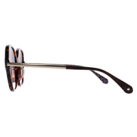 Kate Spade Sunglasses Kaiya/F/S 086 HA Havana Brown Gradient