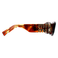 Miu Miu Sunglasses MU11WS 11Q08S Striped Tobacco Dark Violet
