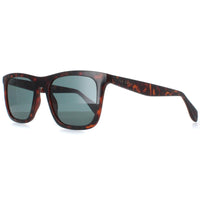 Ted Baker Sunglasses TB1680 Filipe 110 Milky Dark Brown Blue